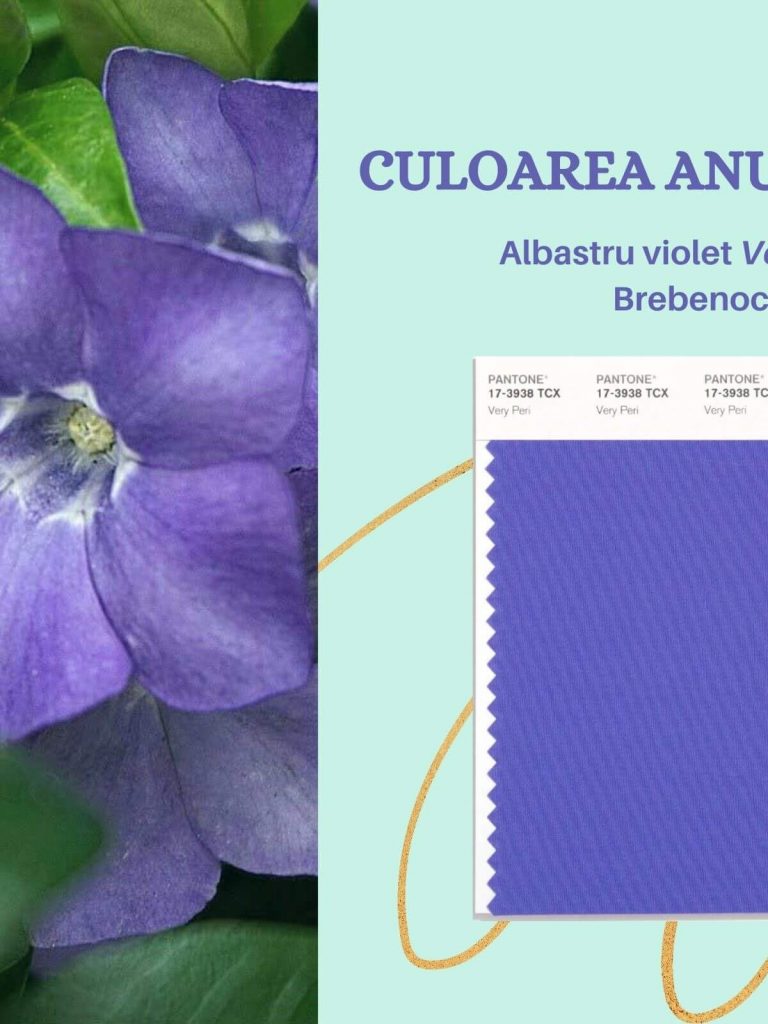 culoarea anului 2022