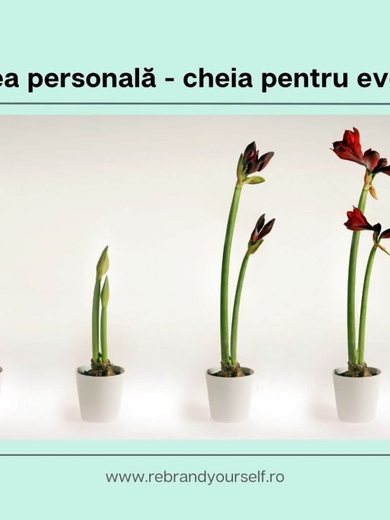 dezvoltarea personală