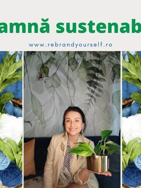 ce înseamnă sustenabilitatea