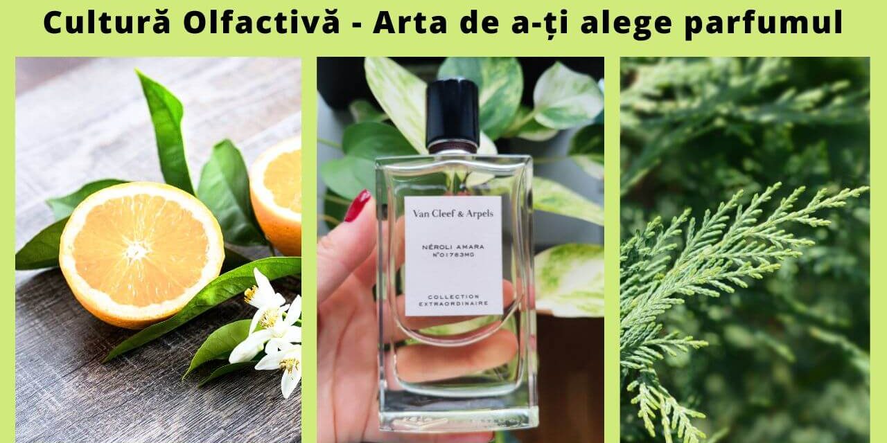 Cultura olfactivă cum îmi aleg parfumul