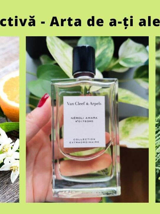 Cultura olfactivă cum îmi aleg parfumul Cultura olfactivă cum îmi aleg parfumul