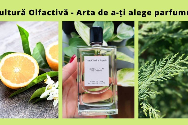 Cultura olfactivă cum îmi aleg parfumul